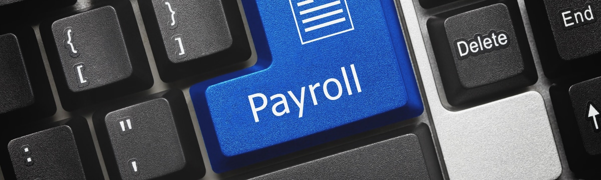 Software payroll digunakan oleh pengusaha untuk mempermudah perhitungan gaji dan potongannya seperti PPh Pasal 21, BPJS dan lain-lain, sebagai sistem penggajian karyawan (payroll) dan pembuatan slip gaji.