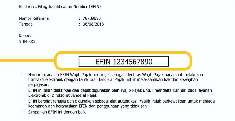 Apa yang dimaksud dengan EFIN? Ini contohnya