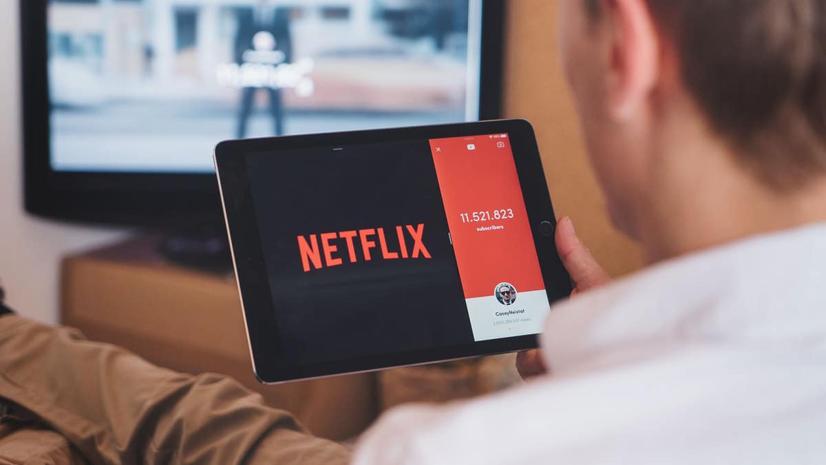 Pajak Netflix: Ketahui Besaran PPN untuk Pelaku Usaha PMSE