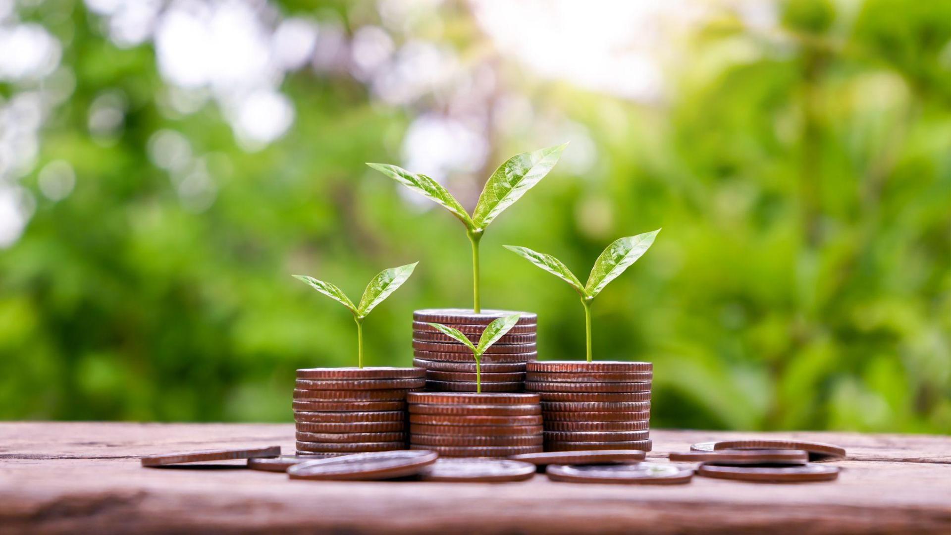 green financing adalah